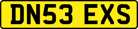DN53EXS