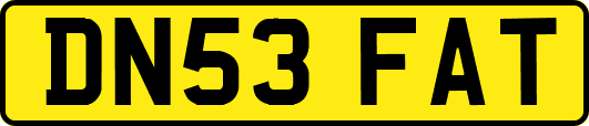 DN53FAT