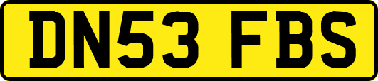DN53FBS