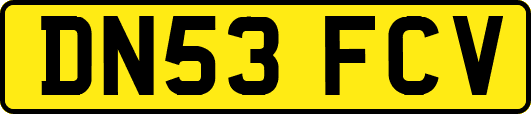 DN53FCV