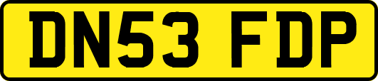 DN53FDP