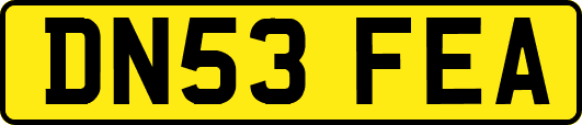 DN53FEA