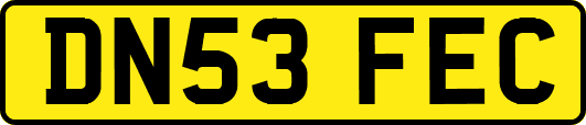 DN53FEC