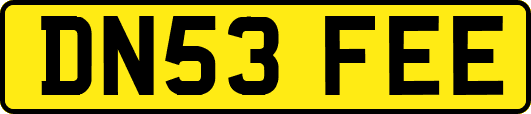 DN53FEE
