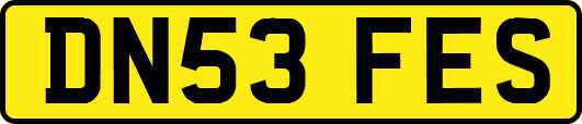 DN53FES