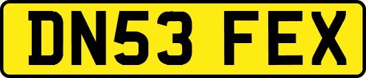 DN53FEX