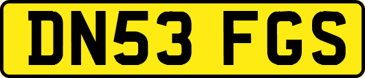 DN53FGS