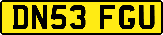 DN53FGU