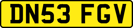 DN53FGV