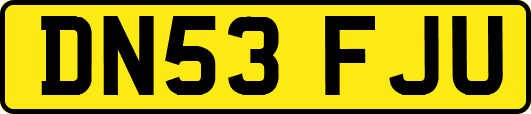 DN53FJU