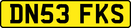 DN53FKS