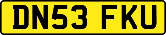 DN53FKU