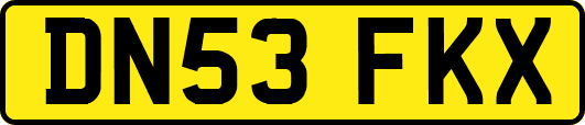 DN53FKX