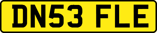 DN53FLE