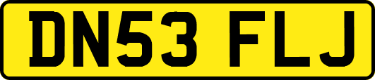 DN53FLJ