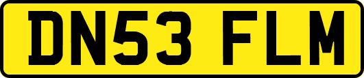 DN53FLM