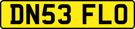 DN53FLO