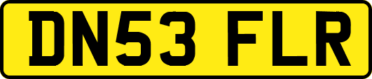 DN53FLR
