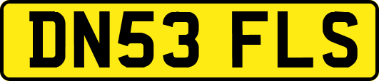 DN53FLS