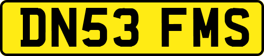 DN53FMS
