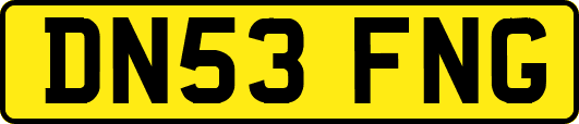 DN53FNG