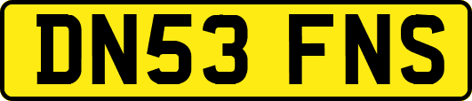 DN53FNS