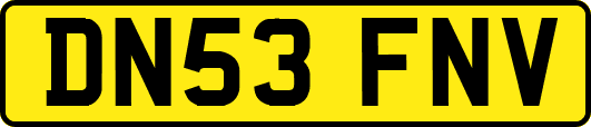DN53FNV
