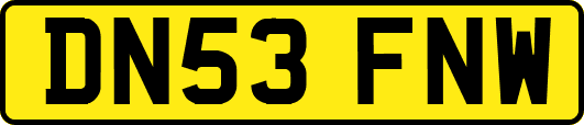 DN53FNW