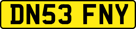 DN53FNY