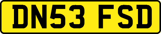 DN53FSD