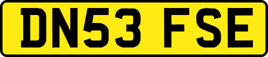 DN53FSE