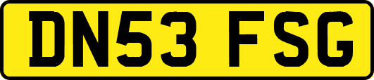 DN53FSG