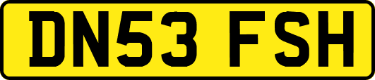 DN53FSH