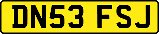 DN53FSJ
