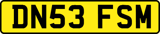 DN53FSM