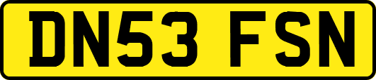 DN53FSN