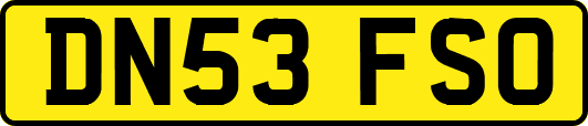 DN53FSO