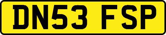 DN53FSP