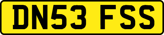 DN53FSS