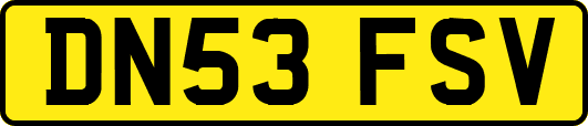 DN53FSV