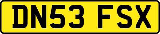 DN53FSX