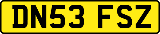 DN53FSZ