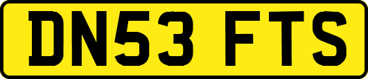 DN53FTS