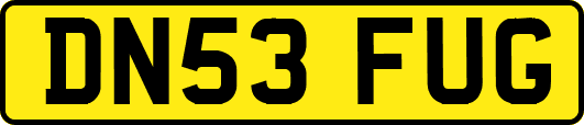 DN53FUG