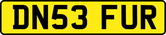 DN53FUR