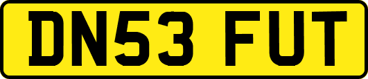 DN53FUT