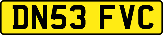 DN53FVC