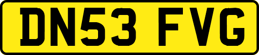 DN53FVG