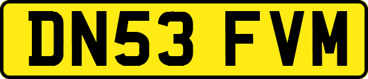 DN53FVM