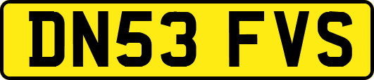 DN53FVS
